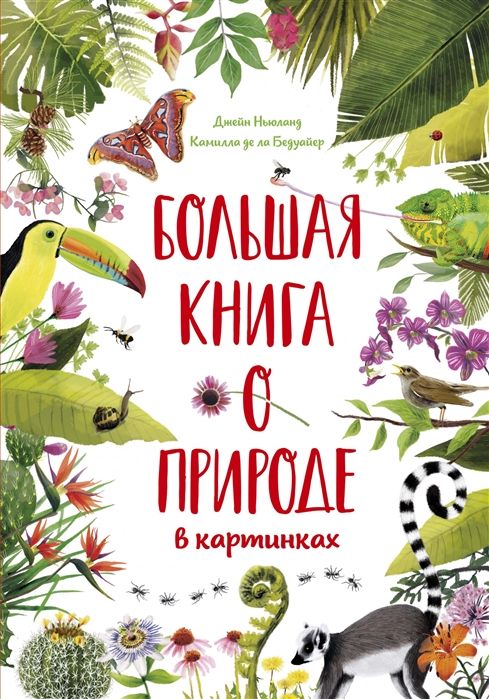 Книга «Большая книга о природе в картинках»