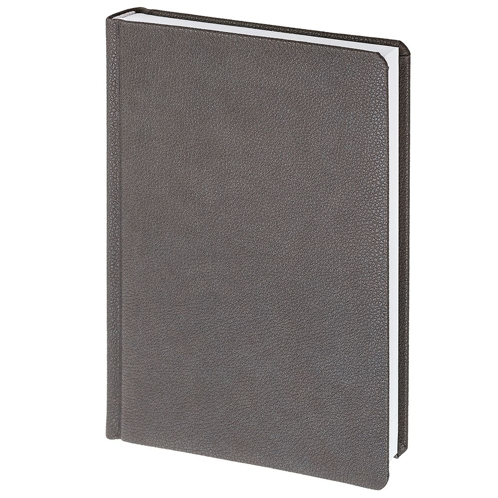 Ежедневник Sagrin, недатированный, темно-серый